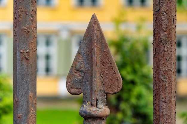 Фото 3